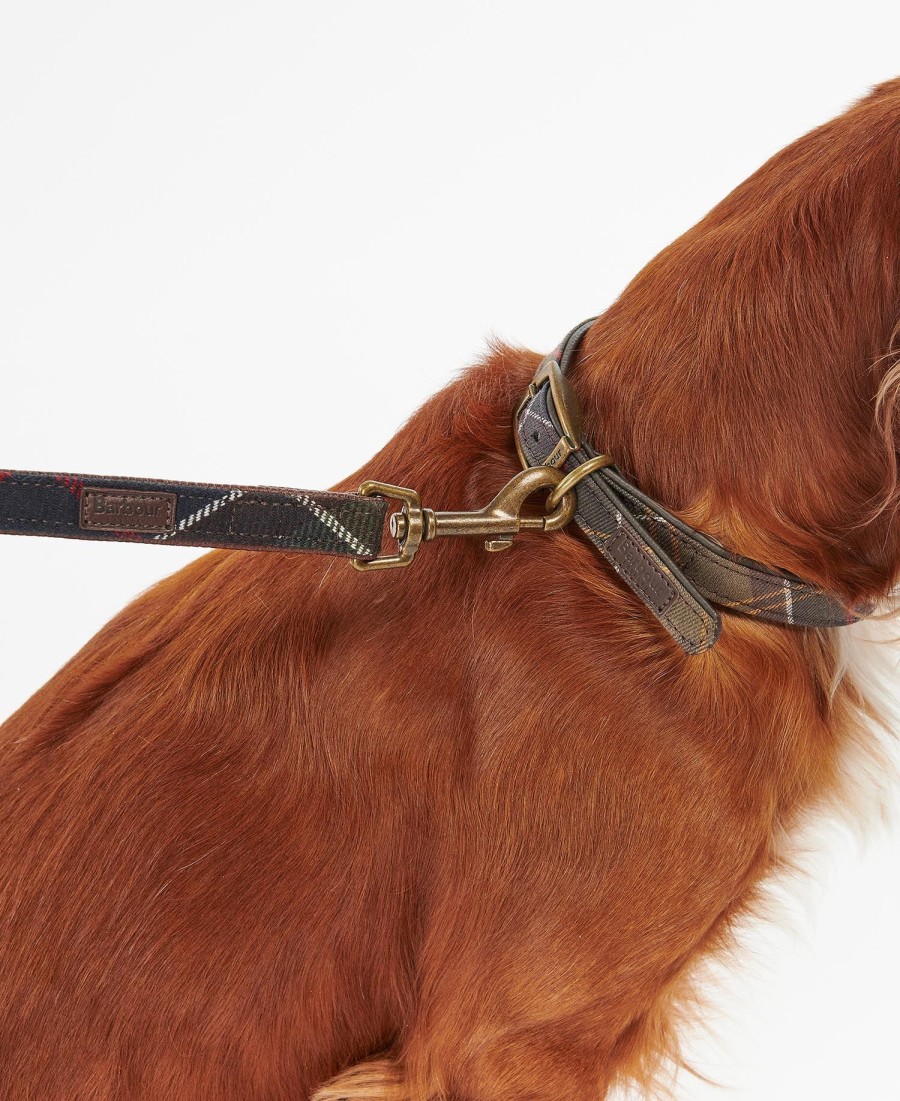guia xadrez para cães