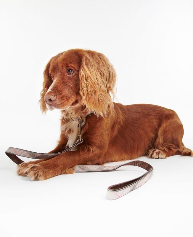 coleira refletora xadrez para cães