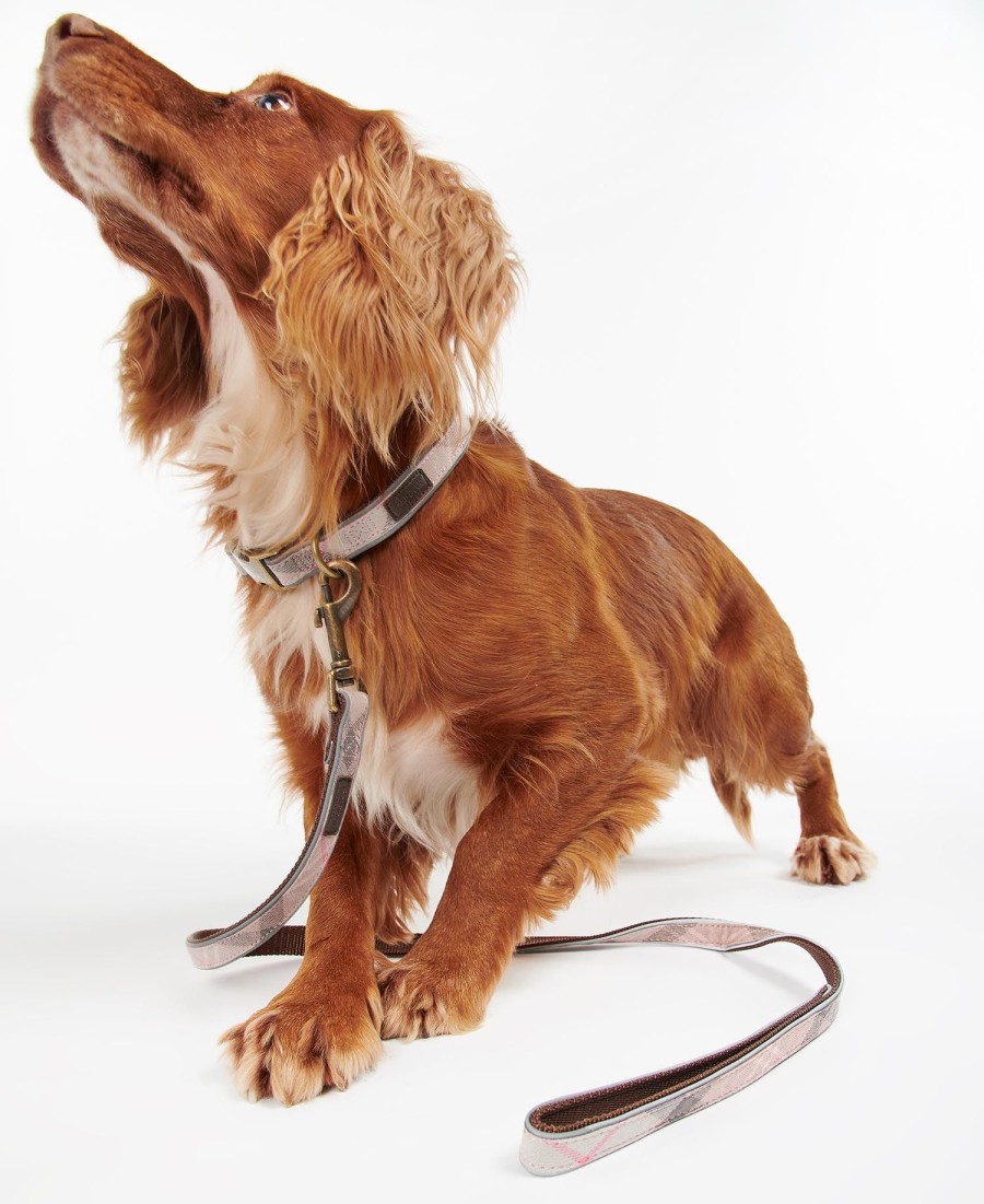 coleira refletora xadrez para cães