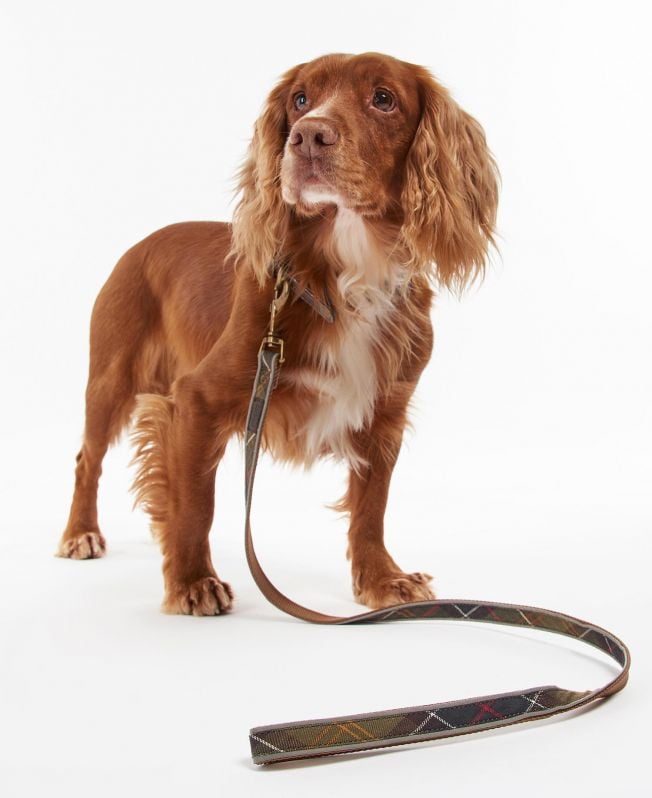 coleira refletora xadrez para cães