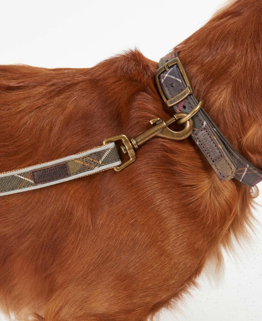coleira refletora xadrez para cães