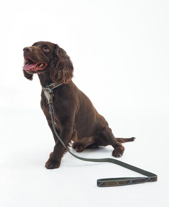 coleira refletora comfort tartan para cães