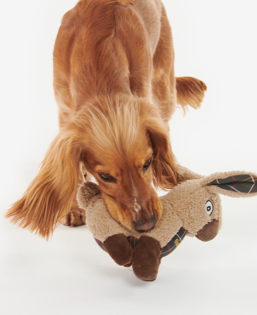 brinquedo de coelho para cachorro